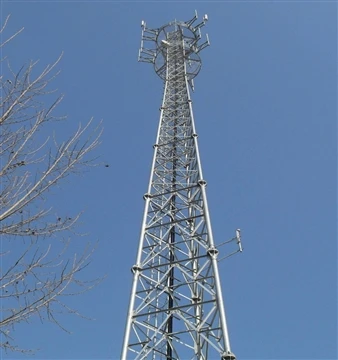 Hvað er Communication Tower Access Ladder?
